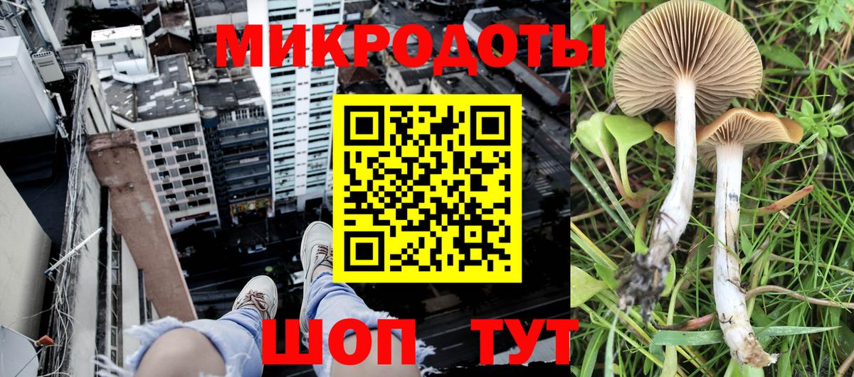 Псилоцибиновые грибы мицелий  Вход с VPN  дарнет шоп  Кохма 